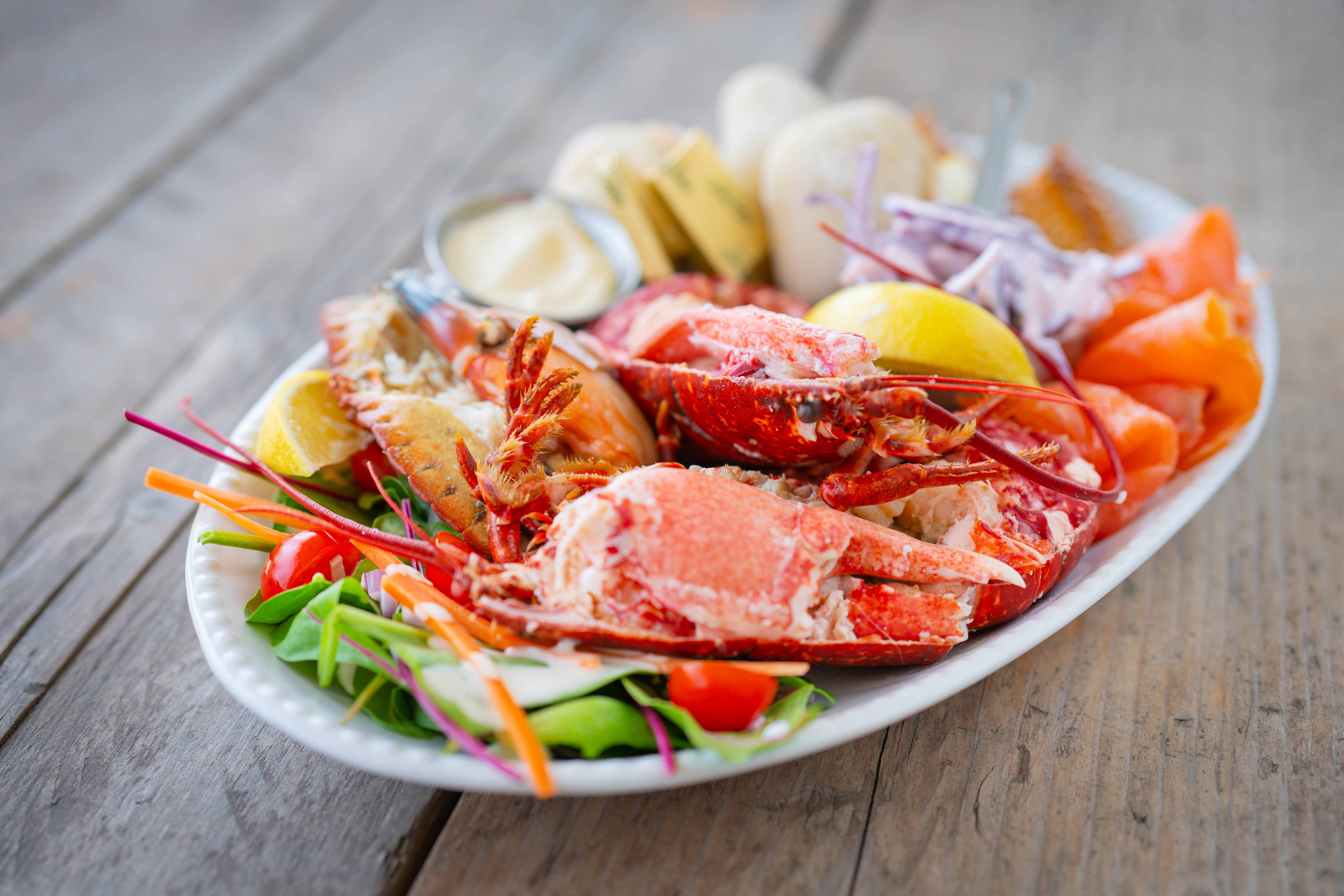 Fresh Anglesey lobster served with seasonal salad