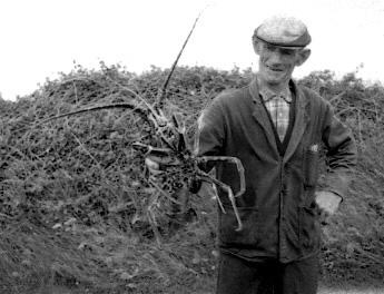 Fishermen with their crawfish catch
